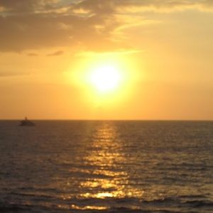 Meet your Posher, Bailey